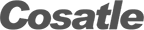 Cosatle